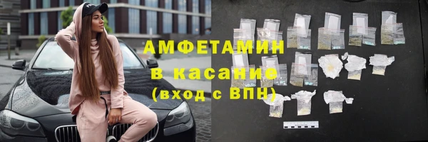 прущие грибы Балабаново