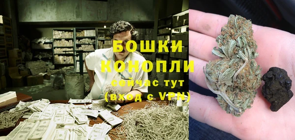 прущие грибы Балабаново