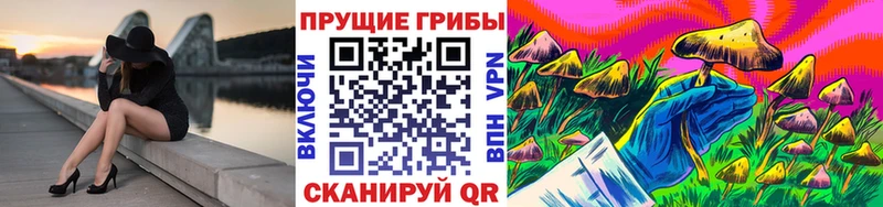 Псилоцибиновые грибы мицелий  Кашин 