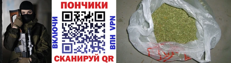 купить   Кашин  Бошки марихуана конопля 